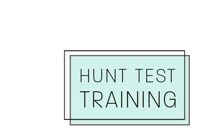 StormRyder Kennels Hunt Test Training