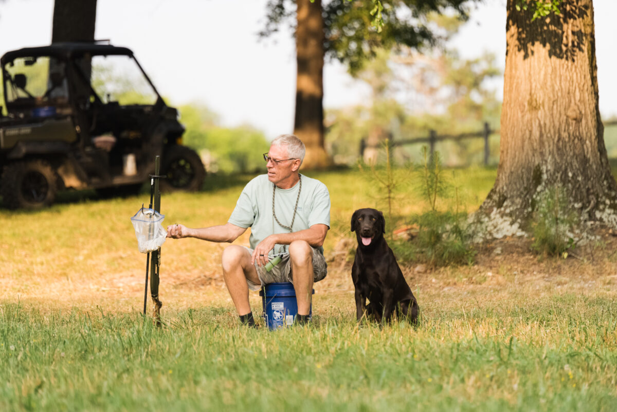 Gun Dog Training StormRyder Kennels Dog Training